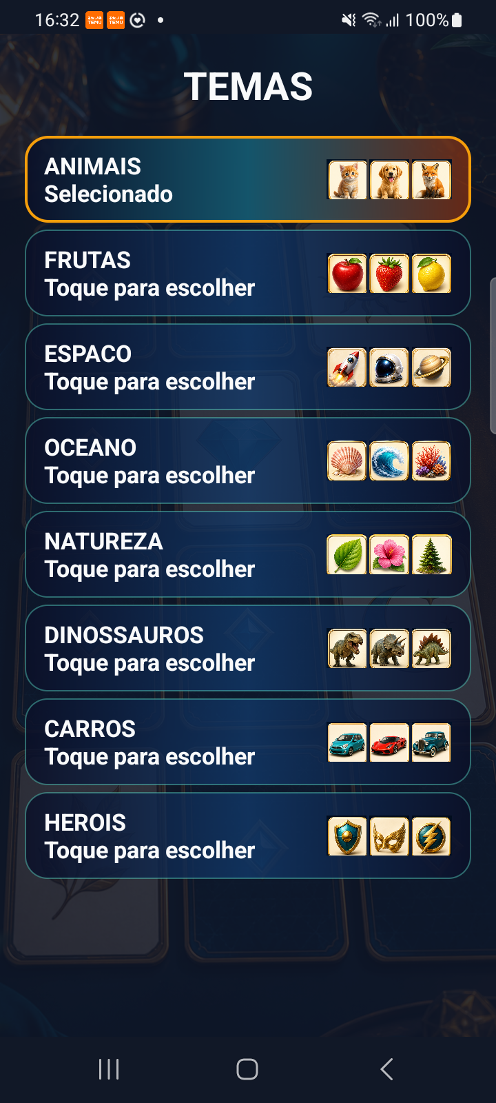 Galeria de temas do Memory Master